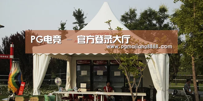 案例标题五