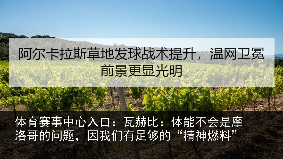体育赛事中心入口：瓦赫比：体能不会是摩洛哥的问题，因我们有足够的“精神燃料”